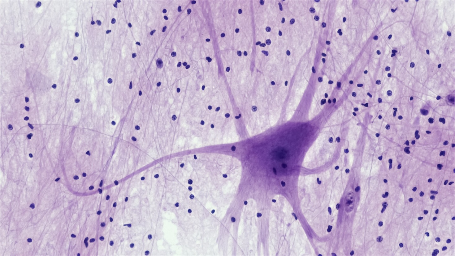 ResilNet: Wissenschaftliche Zusammenarbeit neu definiert